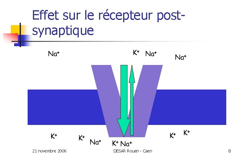 Effet sur le récepteur postsynaptique Na+ K+ 21 novembre 2006 K+ Na+ K+ DESAR