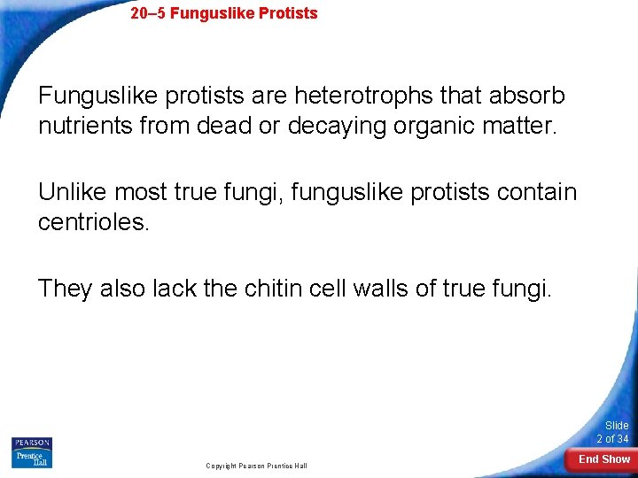 20– 5 Funguslike Protists Funguslike protists are heterotrophs that absorb nutrients from dead or