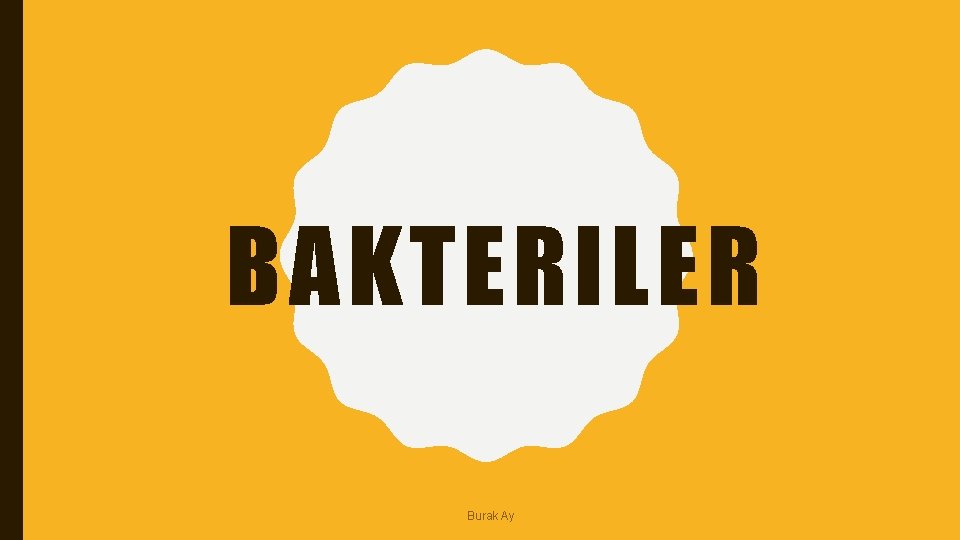 BAKTERILER Burak Ay 