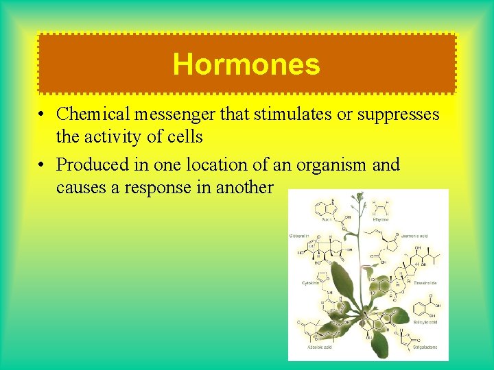 Hormones • Chemical messenger that stimulates or suppresses the activity of cells • Produced