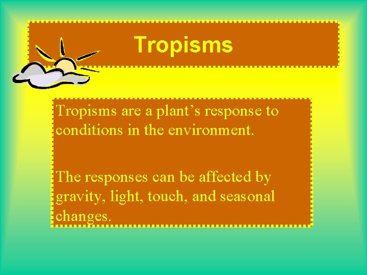 Tropisms are a plant’s response to conditions in the environment. The responses can be