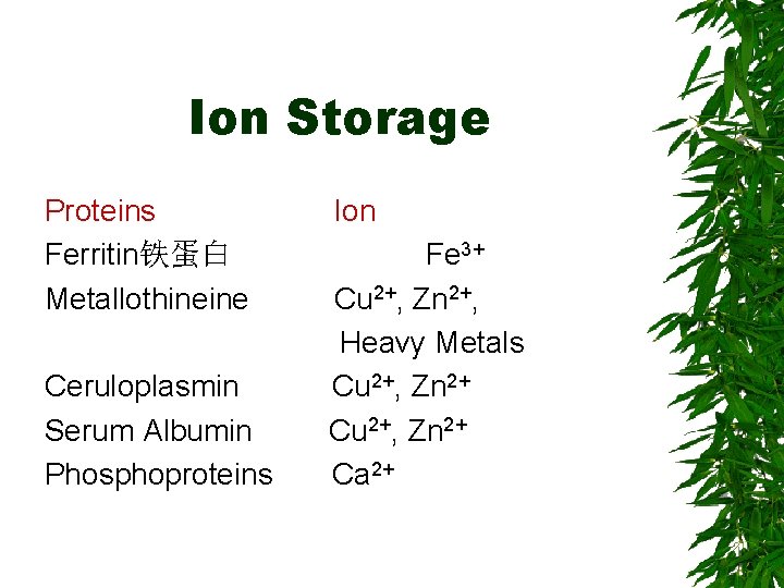 Ion Storage Proteins Ferritin铁蛋白 Metallothineine Ceruloplasmin Serum Albumin Phosphoproteins Ion Fe 3+ Cu 2+,