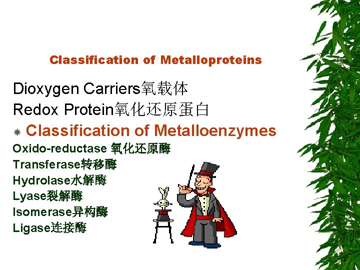 Classification of Metalloproteins Dioxygen Carriers氧载体 Redox Protein氧化还原蛋白 Classification of Metalloenzymes Oxido-reductase 氧化还原酶 Transferase转移酶 Hydrolase水解酶