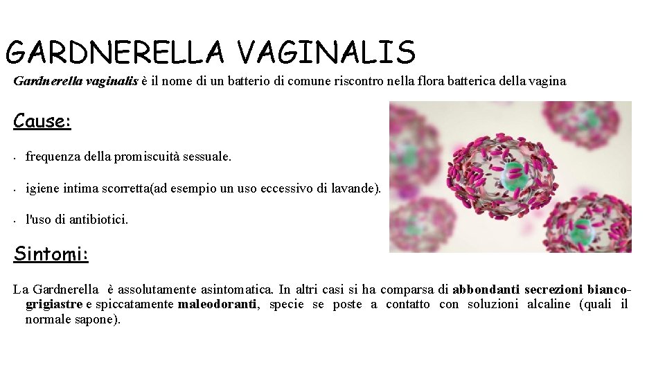 GARDNERELLA VAGINALIS Gardnerella vaginalis è il nome di un batterio di comune riscontro nella