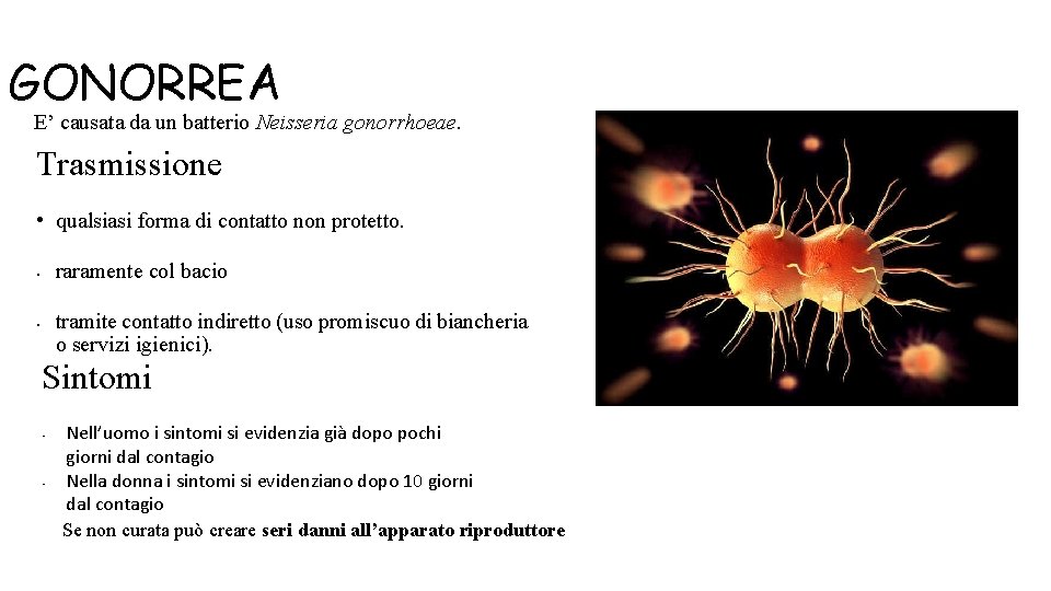 GONORREA E’ causata da un batterio Neisseria gonorrhoeae. Trasmissione • qualsiasi forma di contatto