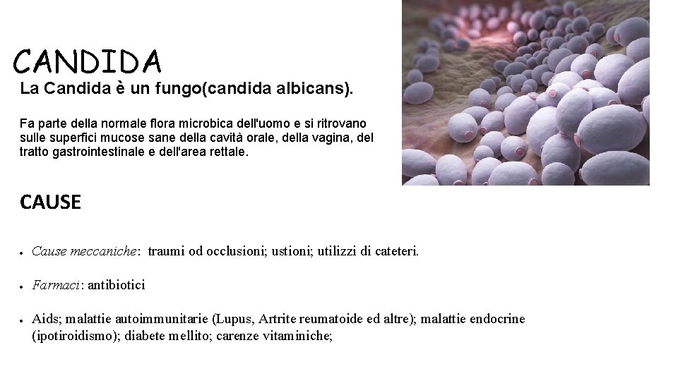 CANDIDA La Candida è un fungo(candida albicans). Fa parte della normale flora microbica dell'uomo