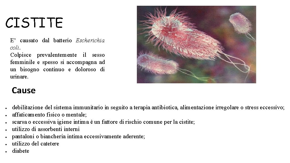 CISTITE E’ causato dal batterio Escherichia coli. Colpisce prevalentemente il sesso femminile e spesso