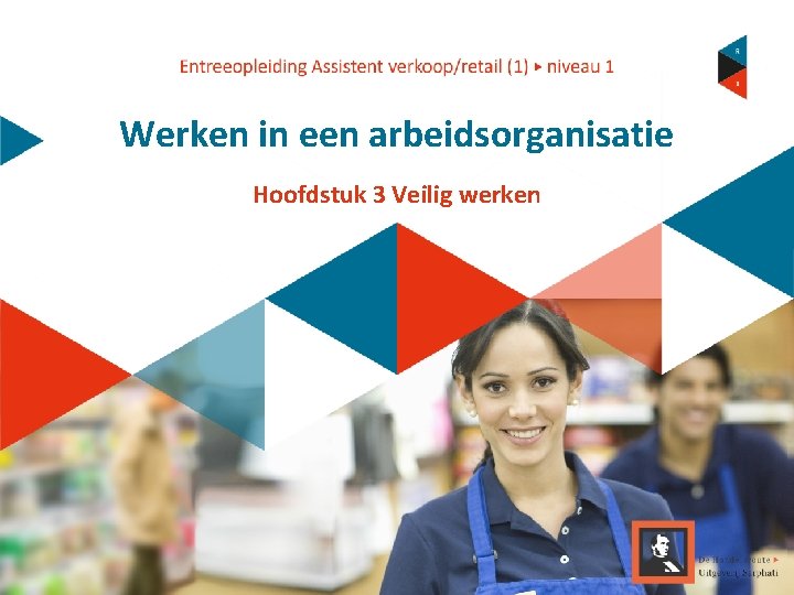 Werken in een arbeidsorganisatie Hoofdstuk 3 Veilig werken 