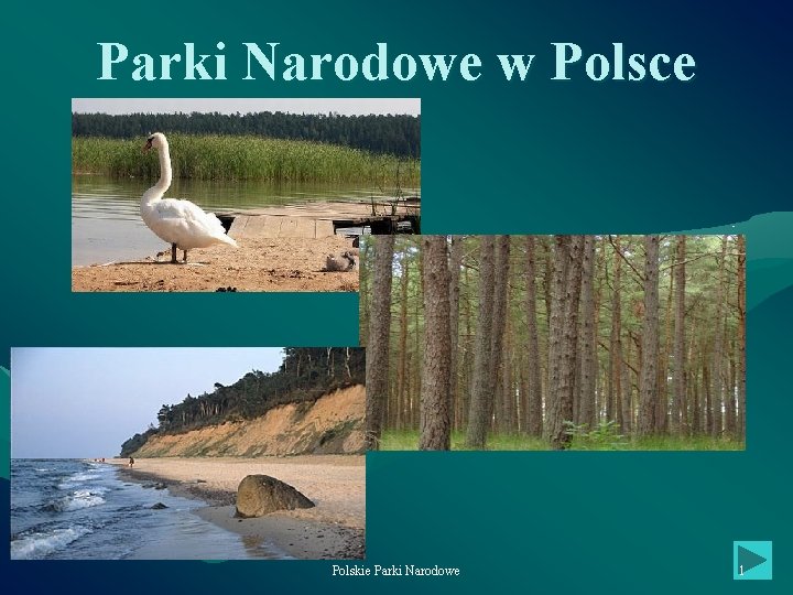 Parki Narodowe w Polsce Polskie Parki Narodowe 1 