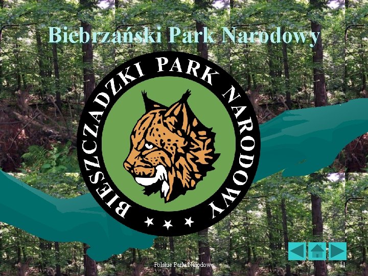 Biebrzański Park Narodowy Polskie Parki Narodowe 11 