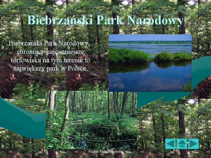 Biebrzański Park Narodowy, chroniący najcenniejsze torfowiska na tym terenie to największy park w Polsce.