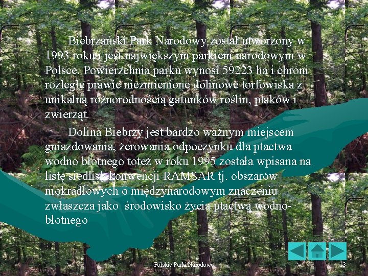 Biebrzański Park Narodowy został utworzony w 1993 roku i jest największym parkiem narodowym w