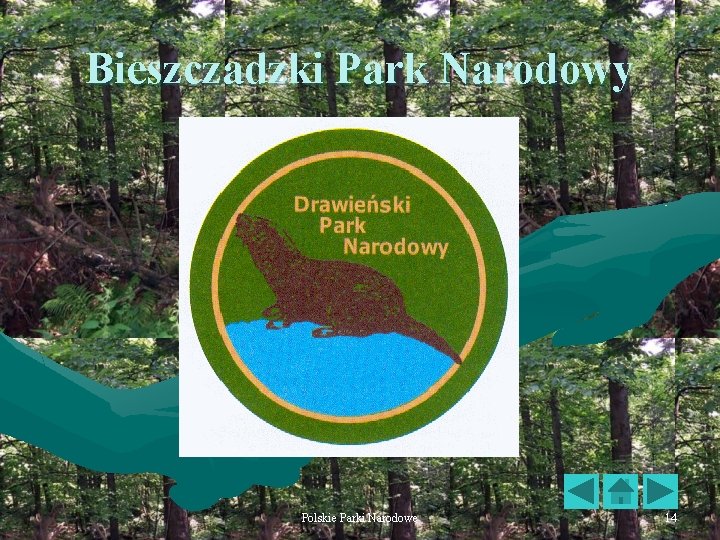 Bieszczadzki Park Narodowy Polskie Parki Narodowe 14 