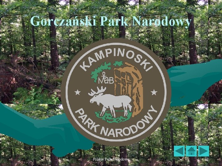 Gorczański Park Narodowy Polskie Parki Narodowe 18 