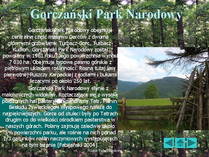 Gorczański Park Narodowy obejmuje centralną część masywu Gorców z dwoma głównymi grzbietami: Turbacz-Gorc, Turbacz.