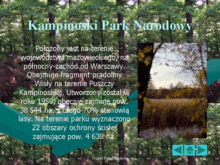 Kampinoski Park Narodowy Położony jest na terenie województwa mazowieckiego, na północny-zachód od Warszawy. Obejmuje