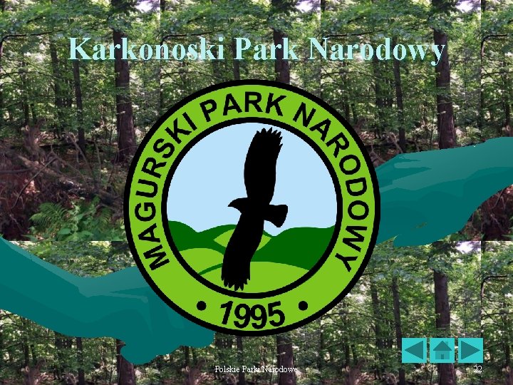 Karkonoski Park Narodowy Polskie Parki Narodowe 22 