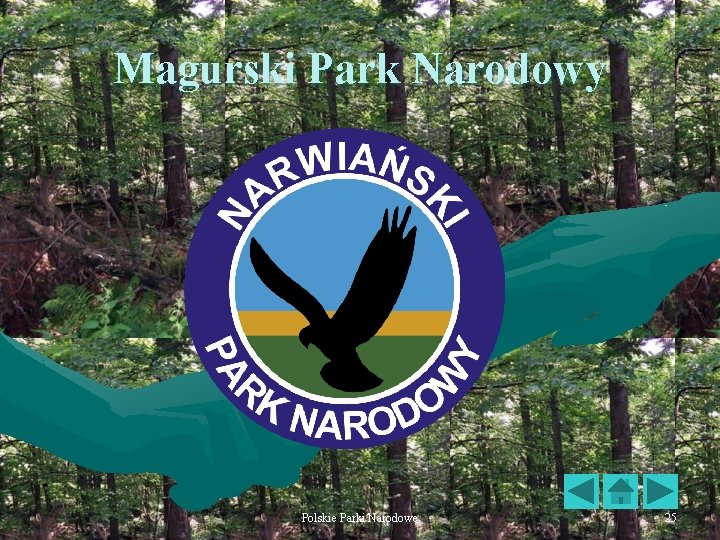 Magurski Park Narodowy Polskie Parki Narodowe 25 