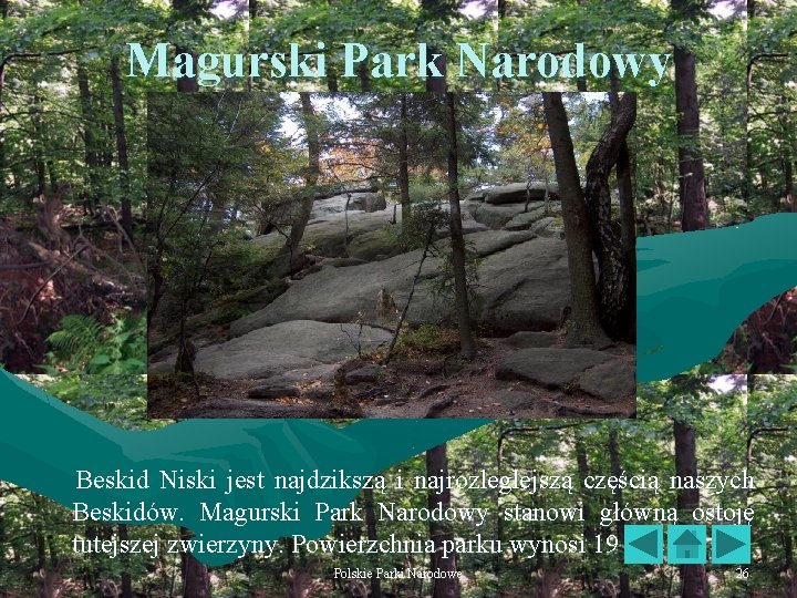 Magurski Park Narodowy Beskid Niski jest najdzikszą i najrozleglejszą częścią naszych Beskidów. Magurski Park