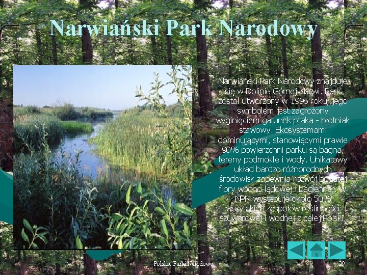 Narwiański Park Narodowy znajduje się w Dolinie Górnej Narwi. Park został utworzony w 1996