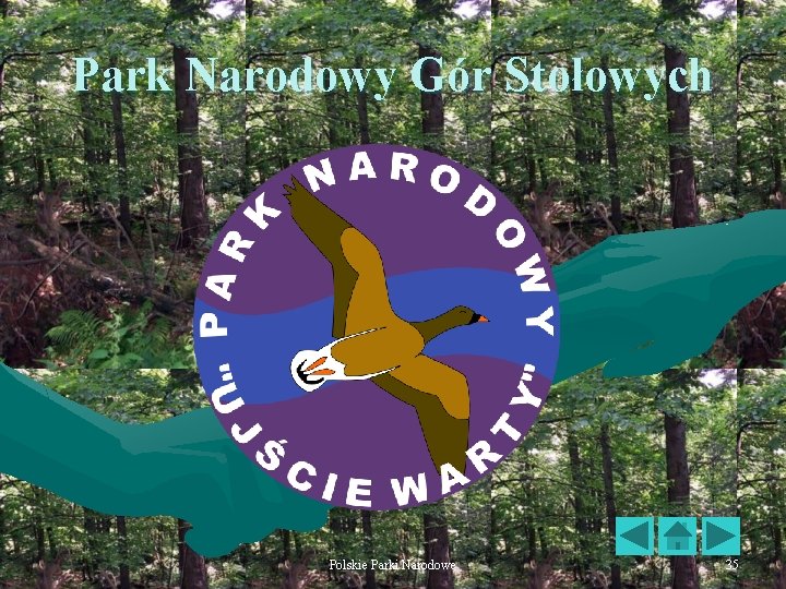 Park Narodowy Gór Stołowych Polskie Parki Narodowe 35 