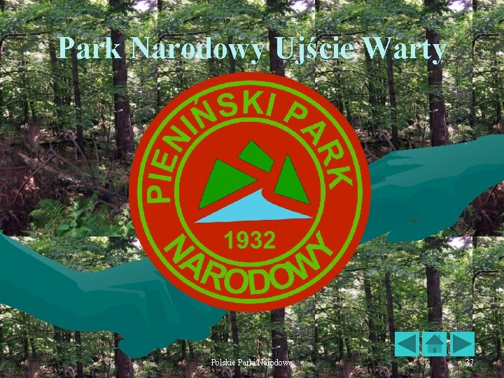 Park Narodowy Ujście Warty Polskie Parki Narodowe 37 