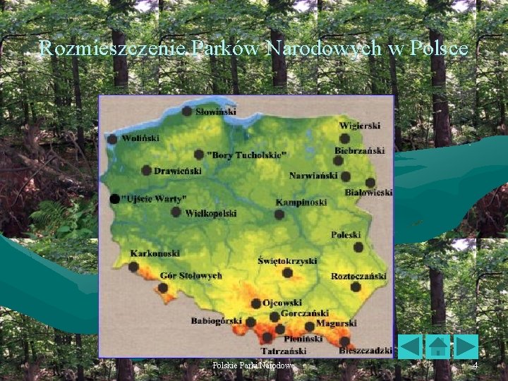 Rozmieszczenie Parków Narodowych w Polsce Polskie Parki Narodowe 4 
