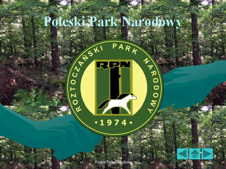 Poleski Park Narodowy Polskie Parki Narodowe 42 