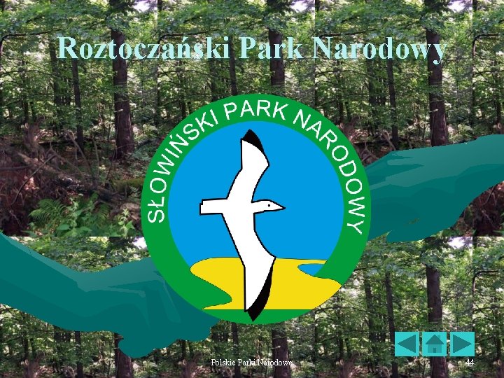 Roztoczański Park Narodowy Polskie Parki Narodowe 44 