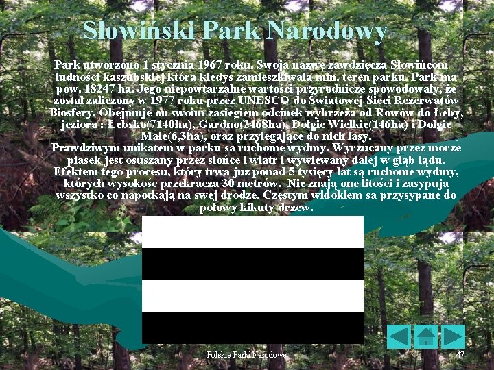 Słowiński Park Narodowy Park utworzono 1 stycznia 1967 roku. Swoją nazwę zawdzięcza Słowińcom ludności