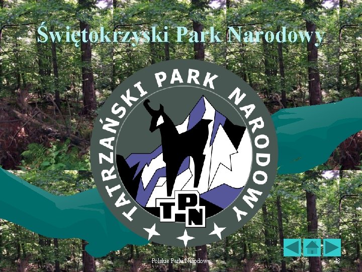 Świętokrzyski Park Narodowy Polskie Parki Narodowe 48 