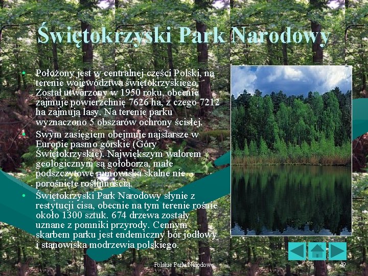 Świętokrzyski Park Narodowy • Położony jest w centralnej części Polski, na terenie województwa świętokrzyskiego.