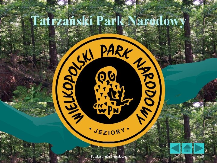 Tatrzański Park Narodowy Polskie Parki Narodowe 50 