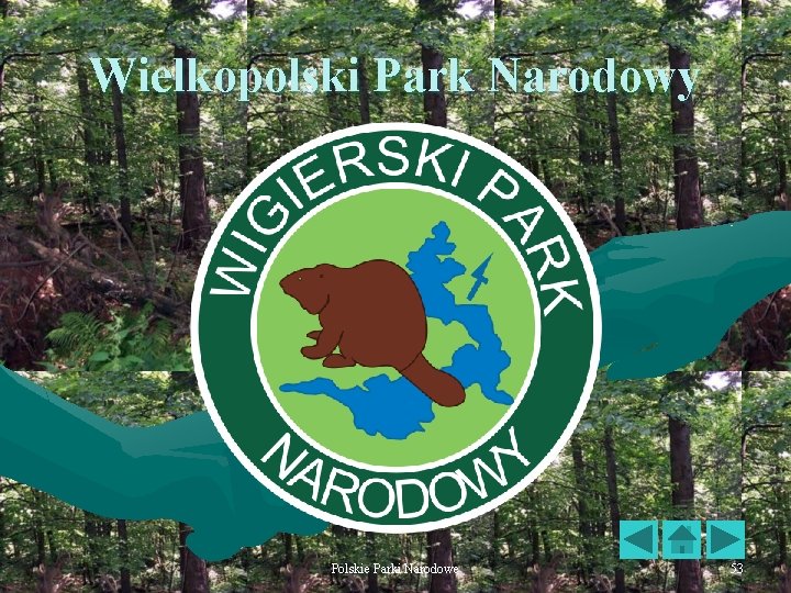 Wielkopolski Park Narodowy Polskie Parki Narodowe 53 