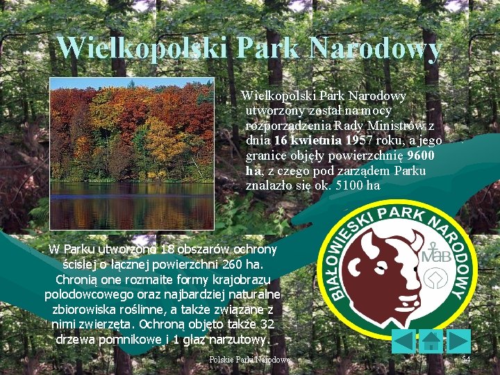 Wielkopolski Park Narodowy utworzony został na mocy rozporządzenia Rady Ministrów z dnia 16 kwietnia