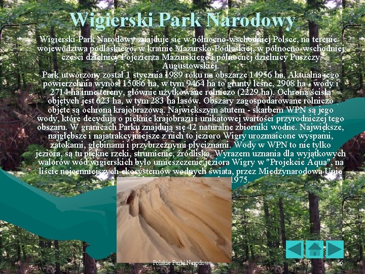 Wigierski Park Narodowy znajduje się w północno-wschodniej Polsce, na terenie województwa podlaskiego, w krainie