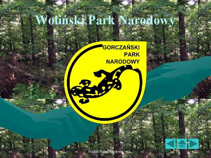 Woliński Park Narodowy Polskie Parki Narodowe 57 