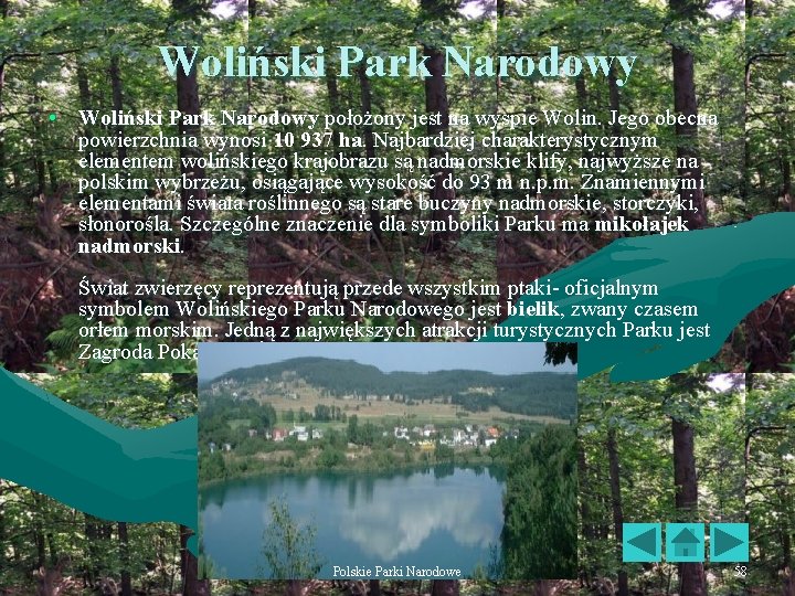 Woliński Park Narodowy • Woliński Park Narodowy położony jest na wyspie Wolin. Jego obecna