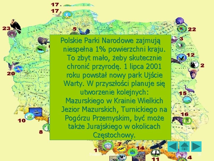 Polskie Parki Narodowe zajmują niespełna 1% powierzchni kraju. To zbyt mało, żeby skutecznie chronić