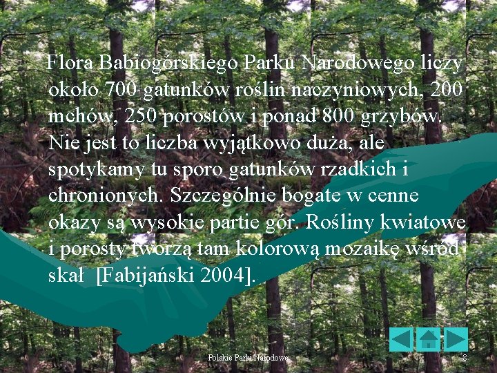 Flora Babiogórskiego Parku Narodowego liczy około 700 gatunków roślin naczyniowych, 200 mchów, 250 porostów