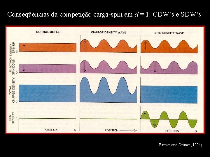 Conseqüências da competição carga-spin em d = 1: CDW’s e SDW’s Brown and Grüner