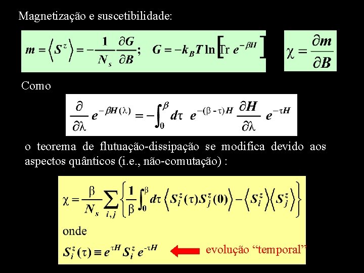 Magnetização e suscetibilidade: Como o teorema de flutuação-dissipação se modifica devido aos aspectos quânticos