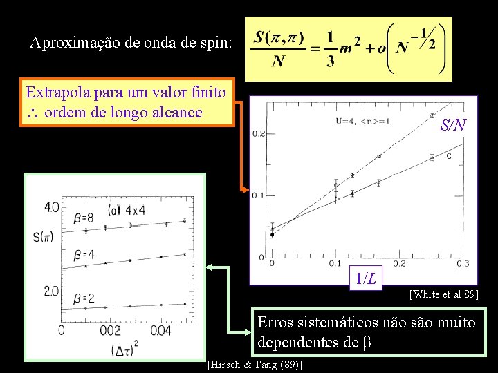 Aproximação de onda de spin: Extrapola para um valor finito ordem de longo alcance