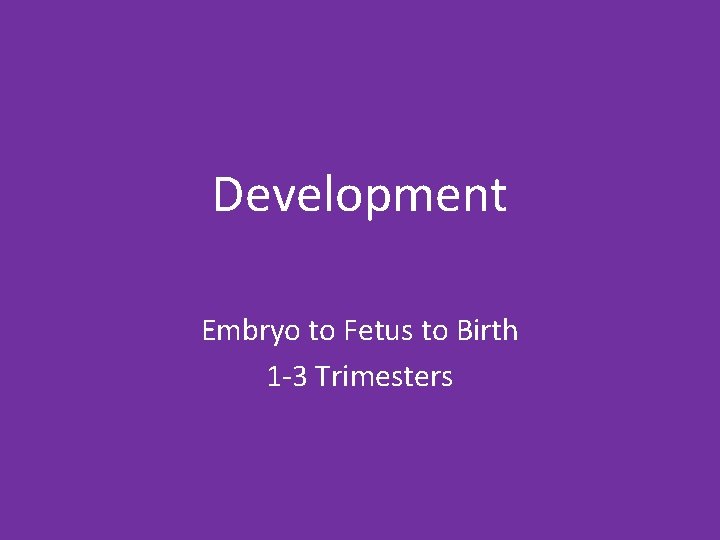 Development Embryo to Fetus to Birth 1 -3 Trimesters 