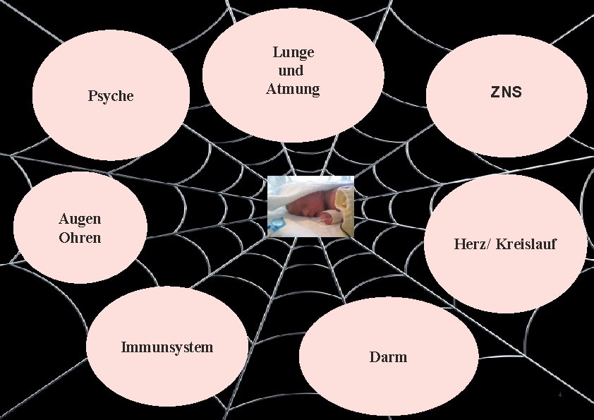 Psyche Lunge und Atmung ZNS Augen Ohren Herz/ Kreislauf Immunsystem Darm 4 