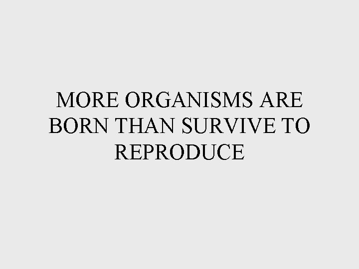 MORE ORGANISMS ARE BORN THAN SURVIVE TO REPRODUCE MORE ORGANISMS ARE BORN THAN SURVIVE TO REPRODUCE
