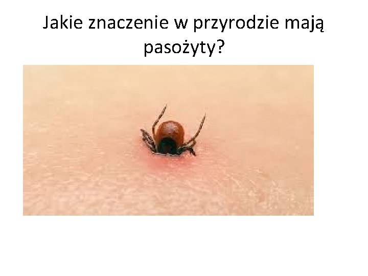 Pasoytnictwo Cele lekcji Wiem na czym polega pasoytnictwo