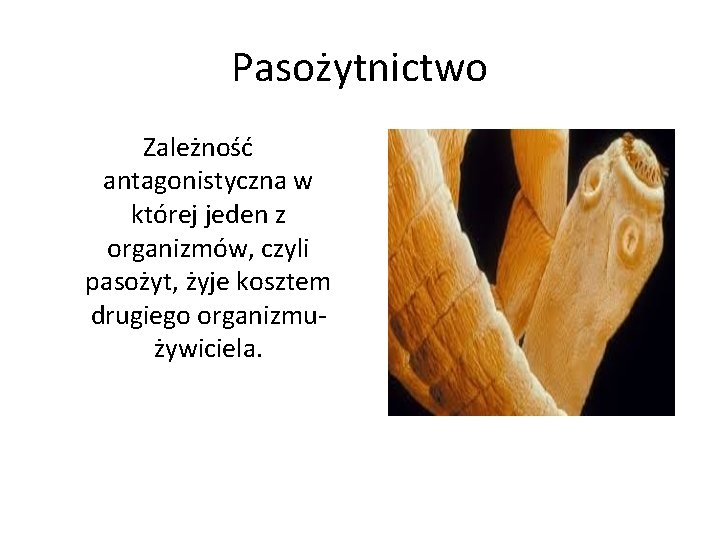 Pasoytnictwo Cele lekcji Wiem na czym polega pasoytnictwo