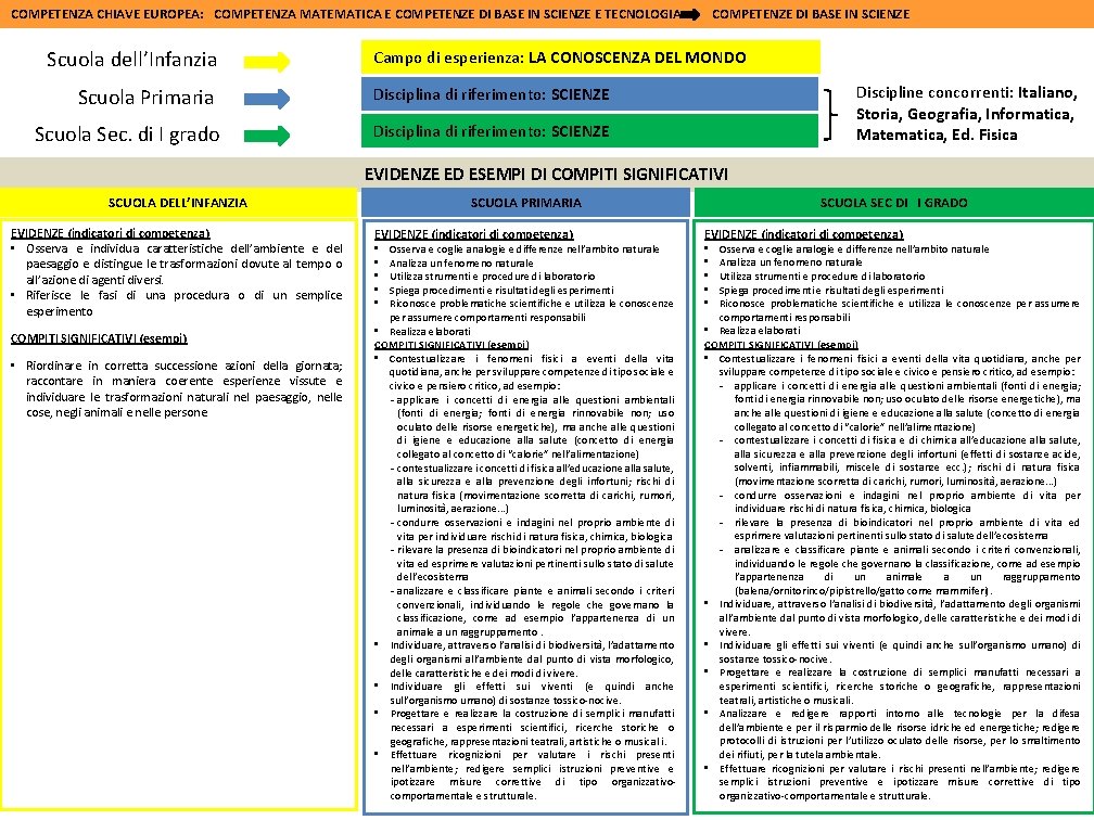 COMPETENZA CHIAVE EUROPEA: COMPETENZA MATEMATICA E COMPETENZE DI BASE IN SCIENZE E TECNOLOGIA Scuola