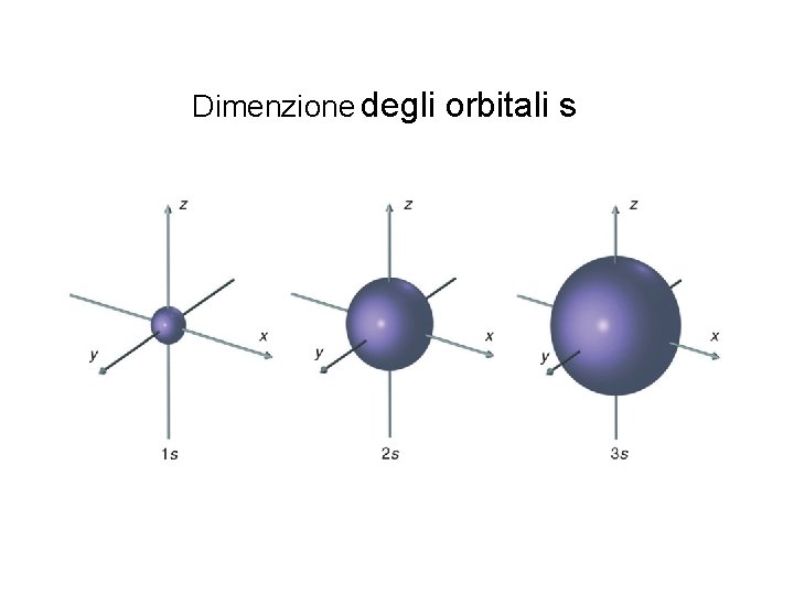 Dimenzione degli orbitali s 